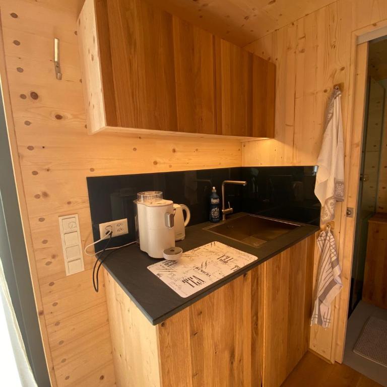 Unique Tiny Eco Lodges with gorgeous views to Jungfrau Massiv - One-Bedroom House - 27