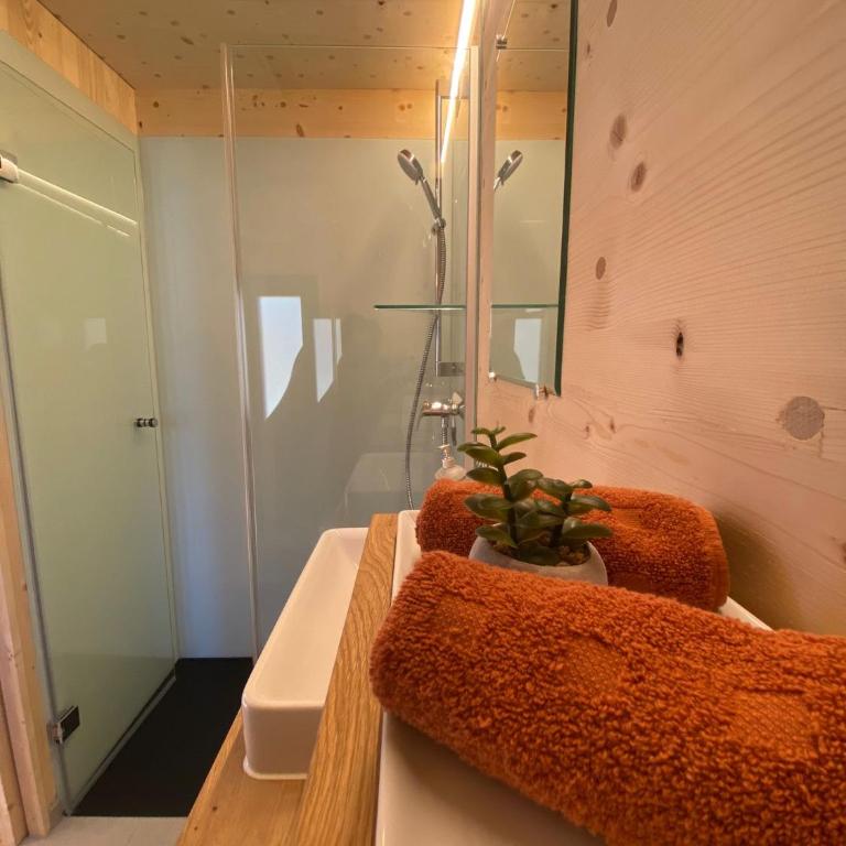 Unique Tiny Eco Lodges with gorgeous views to Jungfrau Massiv - One-Bedroom House - 7