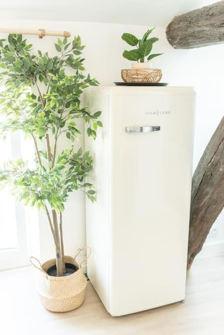 Immeuble L'Aristocrate - Le Boho- Bd Carnot - Appartement 1 Chambre - 6