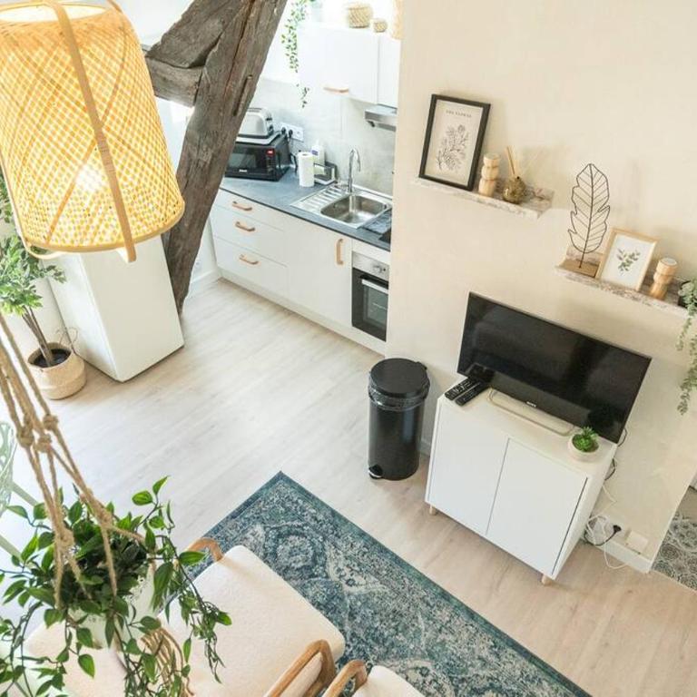 Immeuble L'Aristocrate - Le Boho- Bd Carnot - Appartement 1 Chambre - 10