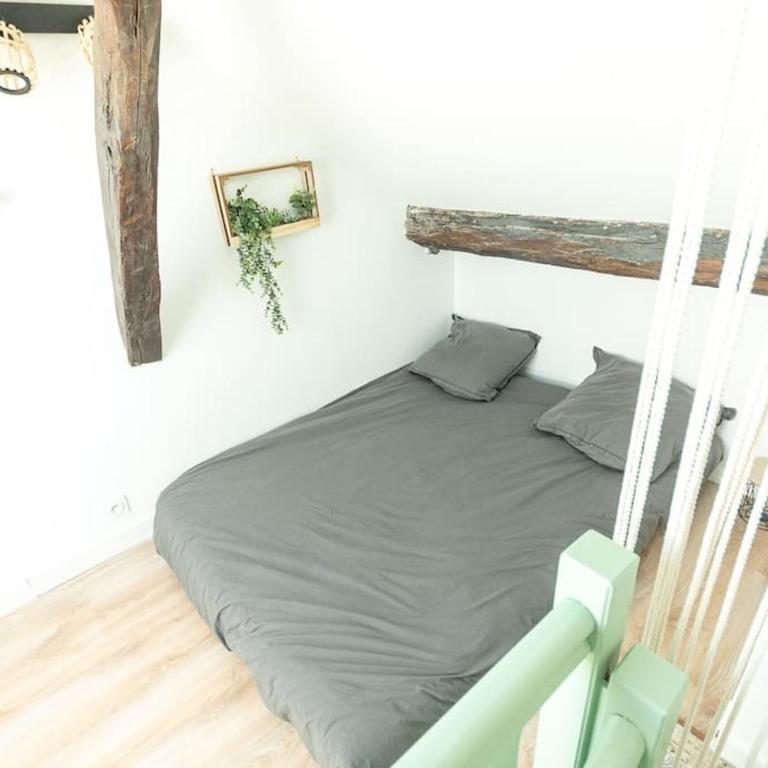 Immeuble L'Aristocrate - Le Boho- Bd Carnot - Appartement 1 Chambre - 11