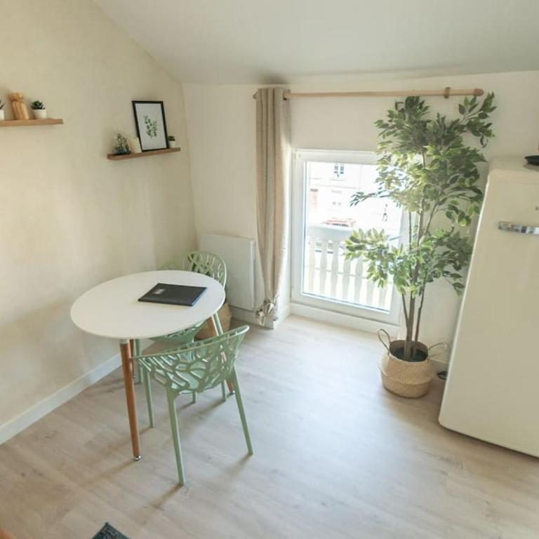 Immeuble L'Aristocrate - Le Boho- Bd Carnot - Appartement 1 Chambre - 12
