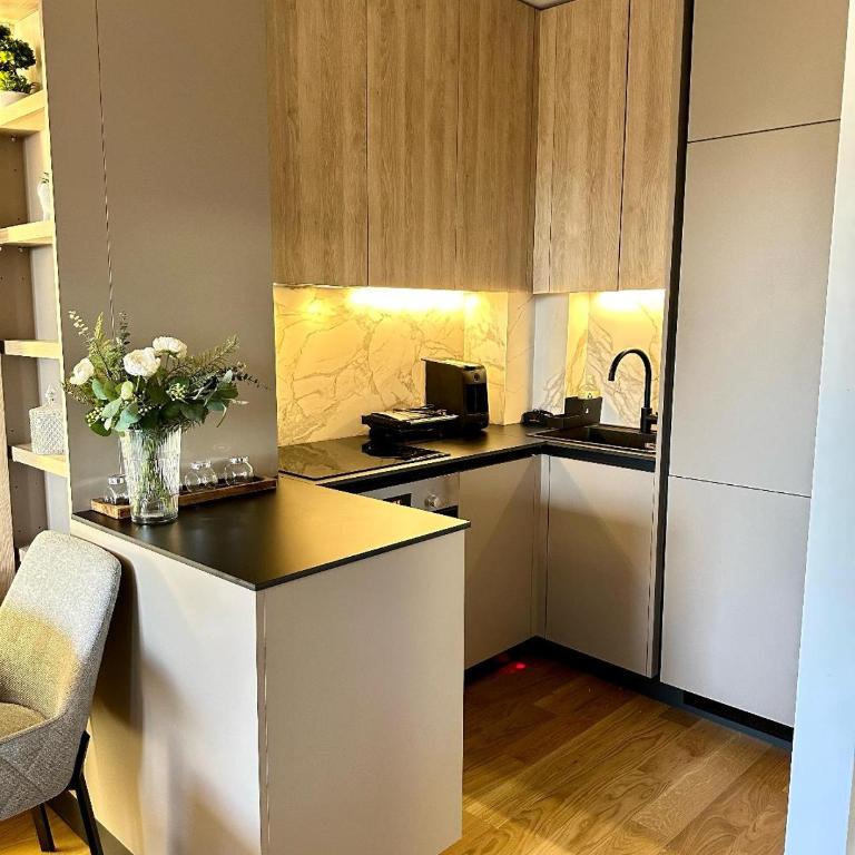 Massimo Apartment Jahorina Snježna dolina - One-Bedroom Apartment - 6