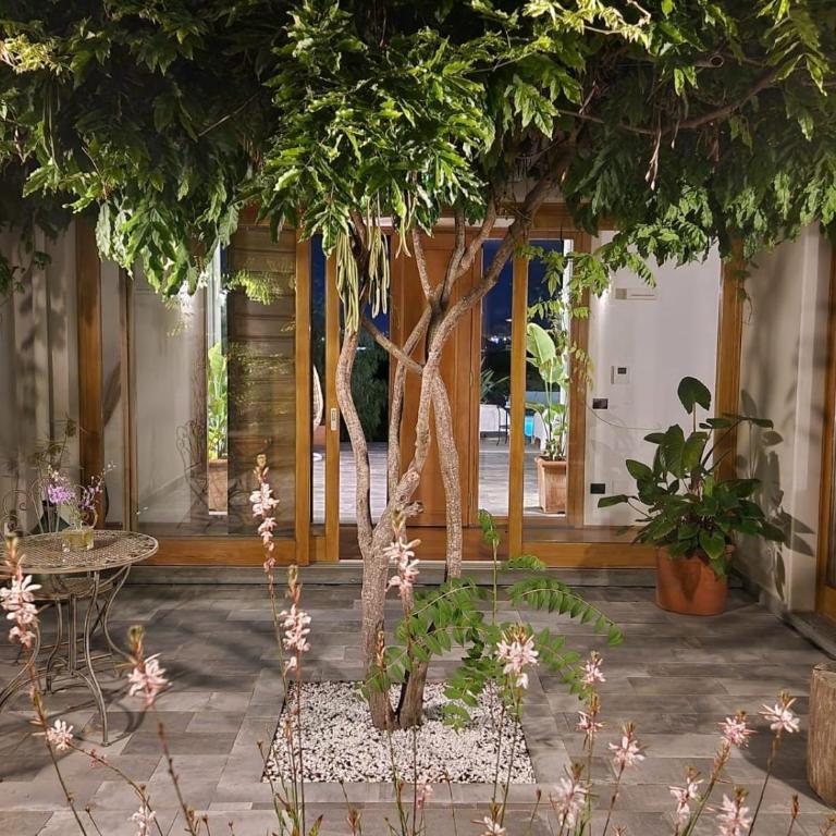 La Suite con Piscina Privata - Appartamento con 2 Camere da Letto e con Piscina Privata - 16