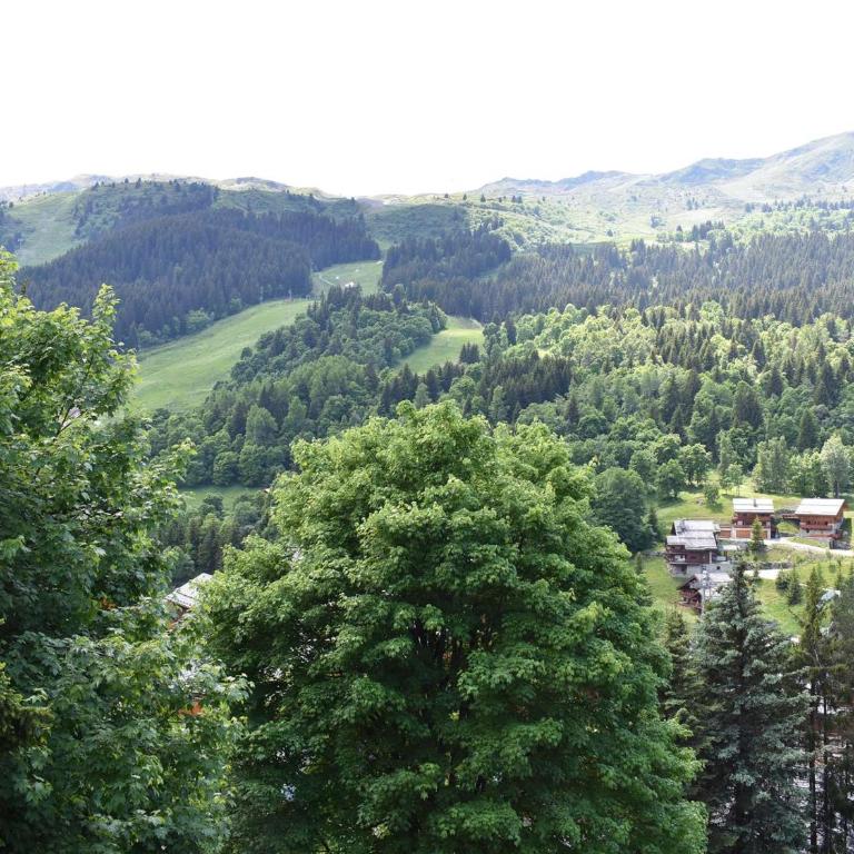 Méribel Studio 4 pers - Piscine, Ski aux pieds, Centre, Balcon Sud - FR-1-180-18 - Appartement (4 Adultes) - 22