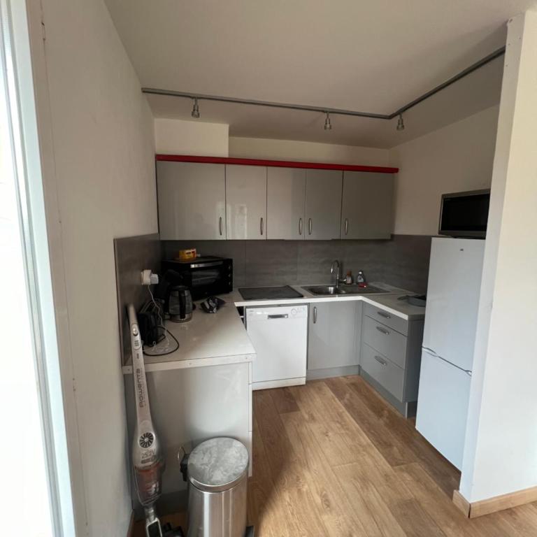 Appartement unique dans le domaine de la sangliere - Appartement 1 Chambre - 4