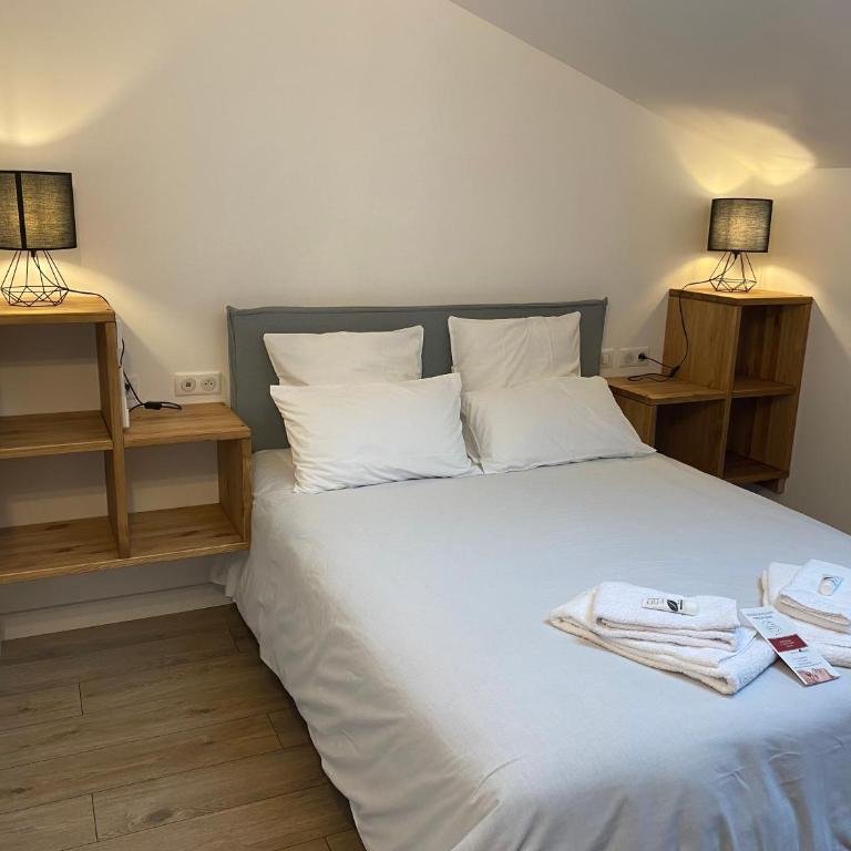 La Bellours Maison d Hôtes avec Piscine - Chambre Double - 3