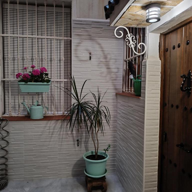 Apartamento Centro Histórico - Apartamento de 1 dormitorio - 6