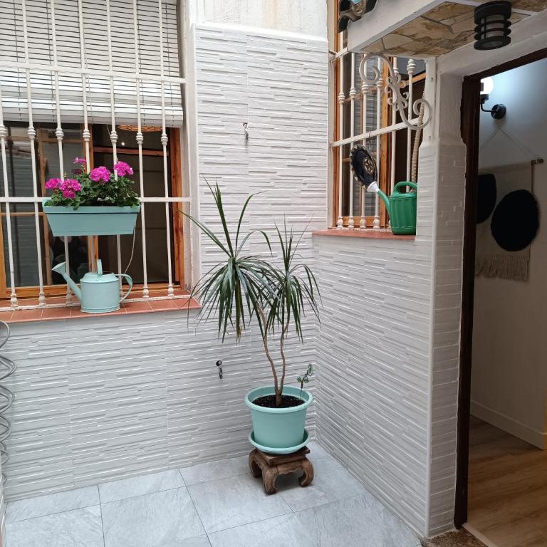 Apartamento Centro Histórico - Apartamento de 1 dormitorio - 4