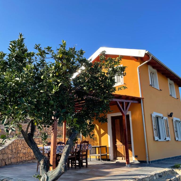 La casa dell'ulivo - Casa con 1 Camera da Letto - 1