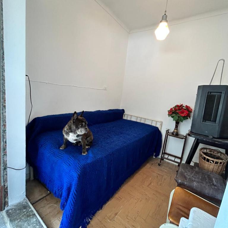 Duplex en Punta Mogotes / Mar Del Plata (Planta Alta) - Four-Bedroom House - 7