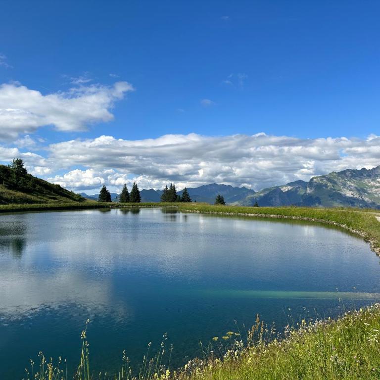 Arve et Giffre Samoens 1600 - Appartamento con 1 Camera da Letto - 9