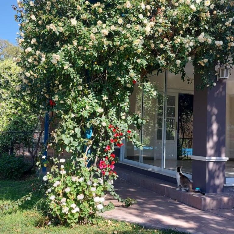 LA CASA DE LAS FLORES - Six-Bedroom House - 10