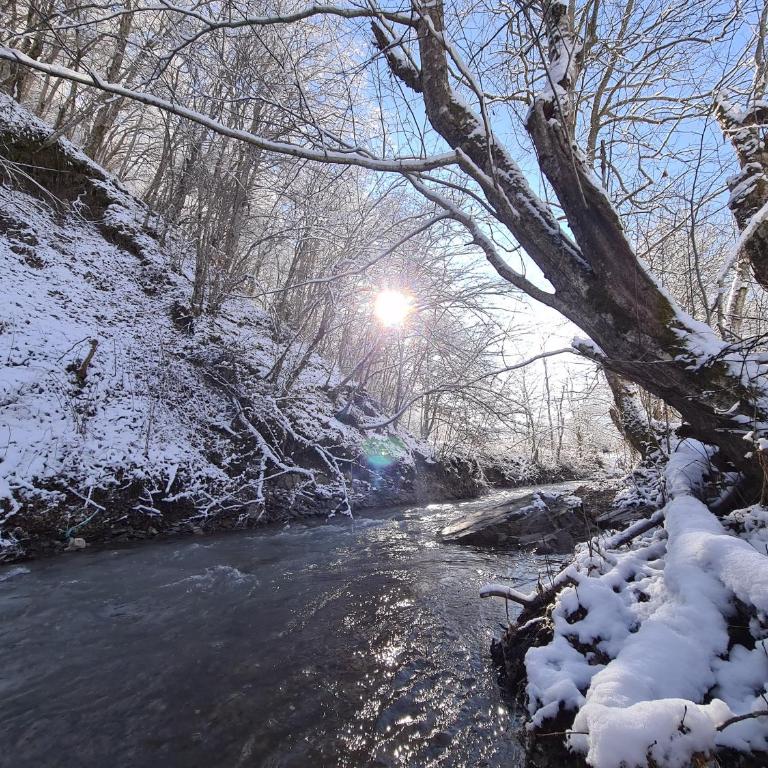 Vikendica The View Jahorina Pale - Two-Bedroom Villa - 28