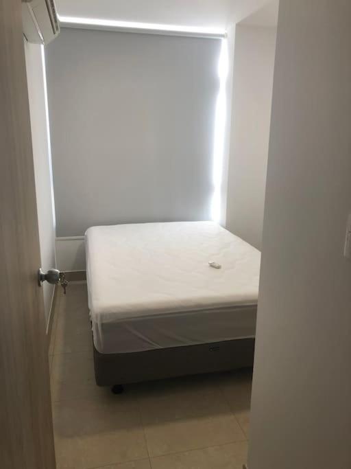 Playas, Segundo mejor clima del mundo!!! - Apartamento de 3 dormitorios - 5