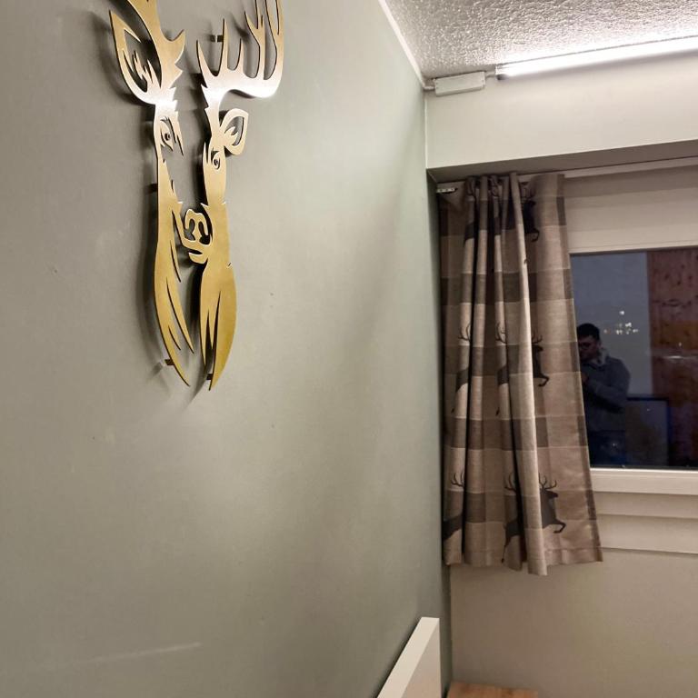 Chalet Fiocco di neve, Passo del Tonale - Appartamento - 7