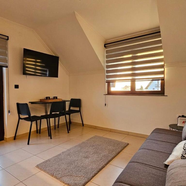 Detelina - Apartman sa 1 Spavaćom Sobom - 9