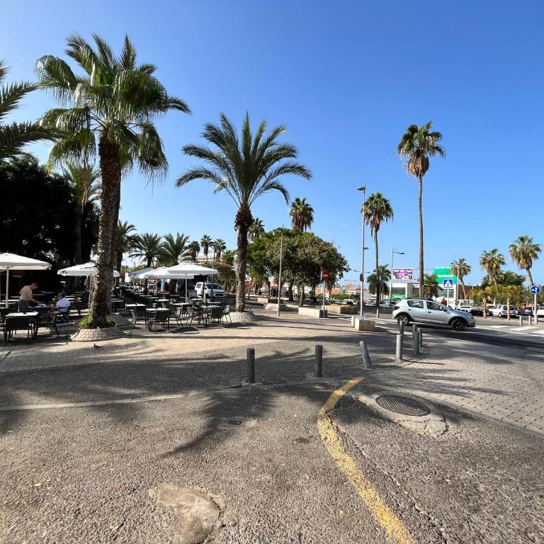 Las Piteras - One-Bedroom Apartment - 12