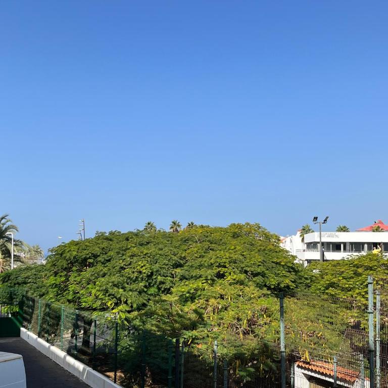 Las Piteras - One-Bedroom Apartment - 14