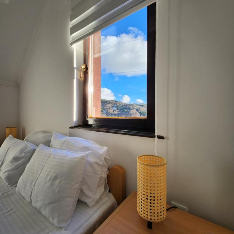 Detelina - Apartman sa 1 Spavaćom Sobom - 4