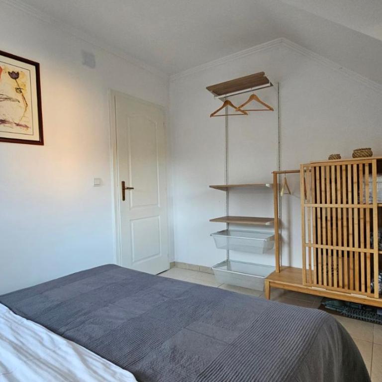 Detelina - Apartman sa 1 Spavaćom Sobom - 2