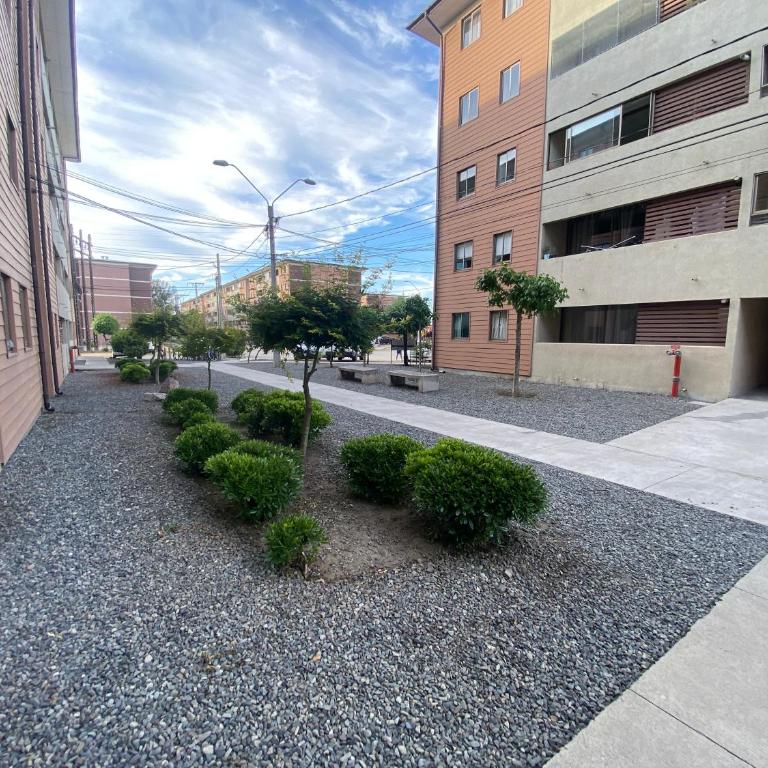 Apartamento centrico - Three-Bedroom Apartment - 5
