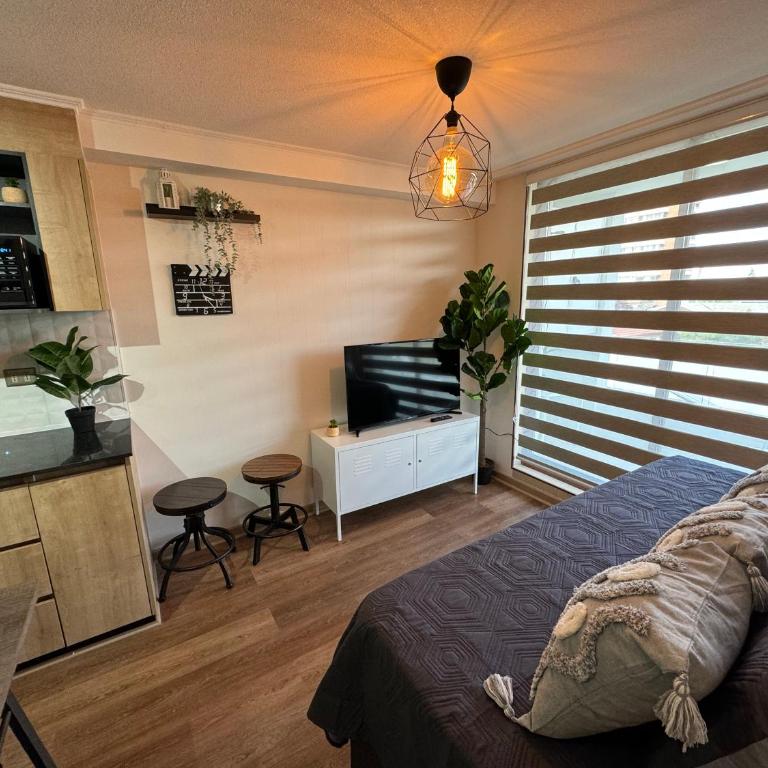 Departamento downtown inn - Chillan Factura Empresas - Parking - wifi - Apartamento de 2 dormitorios - 7