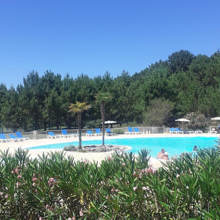 Appartement à Biscarrosse avec Piscine, Boulodrome et Terrasse – 7 Personnes, Ménage Inclus - FR-1-319-497 - Appartement - 17