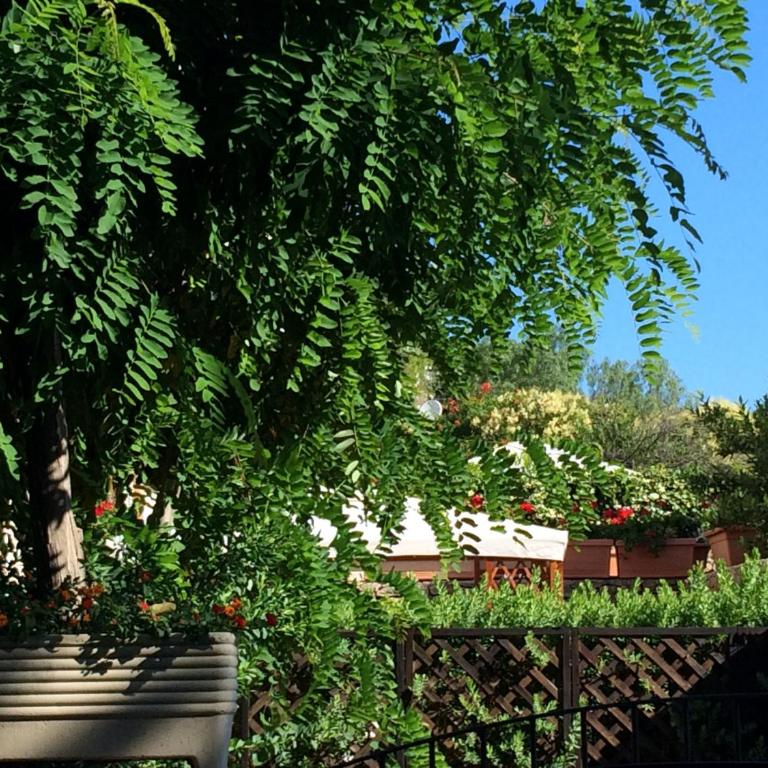 Villa Giuliana - Villa con 3 Camere da Letto - 75