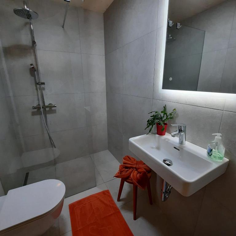 Bio-Bauernhof Vorderfromm - One-Bedroom Apartment - 2