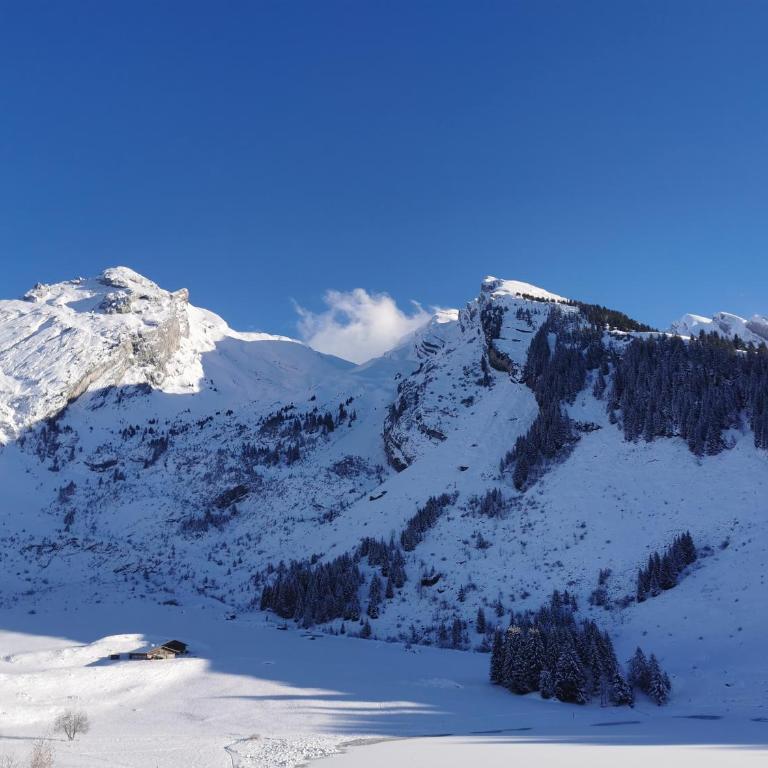 Hôtel du Lac des Confins - Chambre Double - Vue sur Montagne - 3