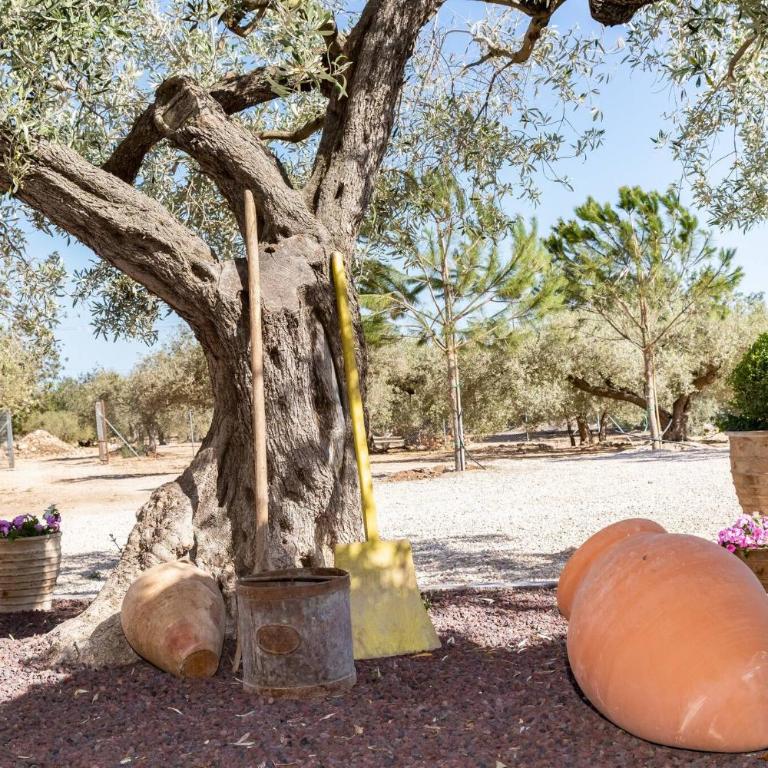 Santolina - Casa Rural en l'Ampolla con piscina privada, jardín y barbacoa - Deltavacaciones - Villa - 15