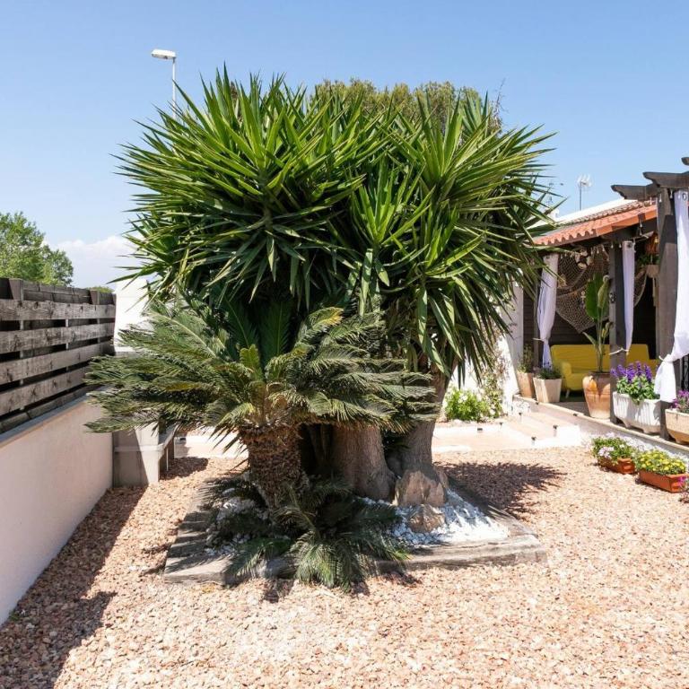 Agustina - Casa adosada en Riumar con jardín, barbacoa y cerca del mar - Deltavacaciones - Casa de 2 dormitorios - 12
