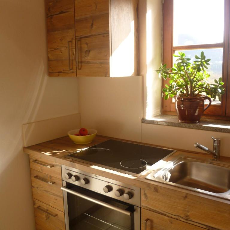 Bio-Bauernhof Vorderfromm - One-Bedroom Apartment - 3