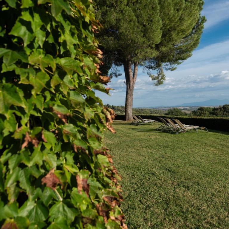Villa Montelisi - Villa Deluxe - 64