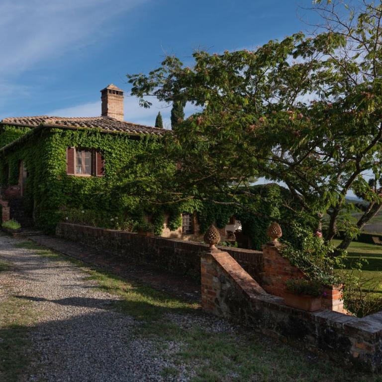 Villa Montelisi - Villa Deluxe - 6