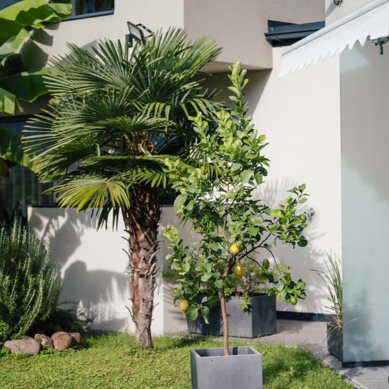 Garden Lodge - Apartamento de 2 dormitorios - 47