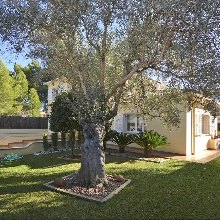 Villa Prestige - Chalet - 43