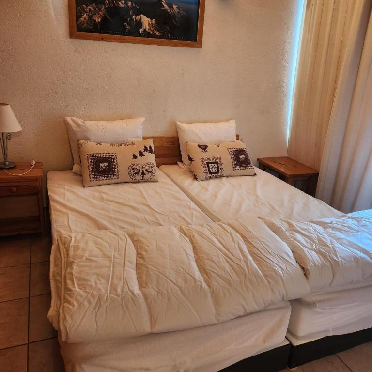 Appartement 5/6 Pers centre Carroz (ARB 40) - Apartamento - 6