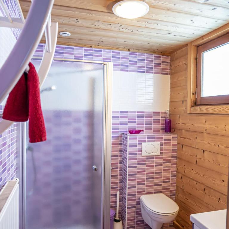 Chalet à Châtel 6 chambres, 12 pers. - FR-1-676-3 - Apartment - 10
