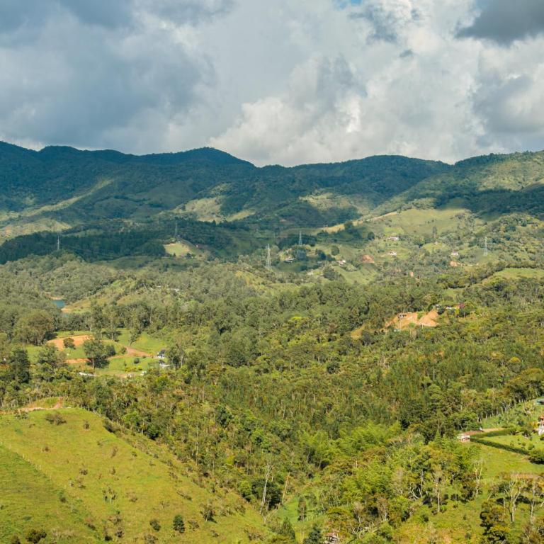 Apartamento 207 - Vista a la Represa - 1 Habitación y Sofa Cama - Rentas Cortas Gerencial - Apartamento de 1 dormitorio - 39