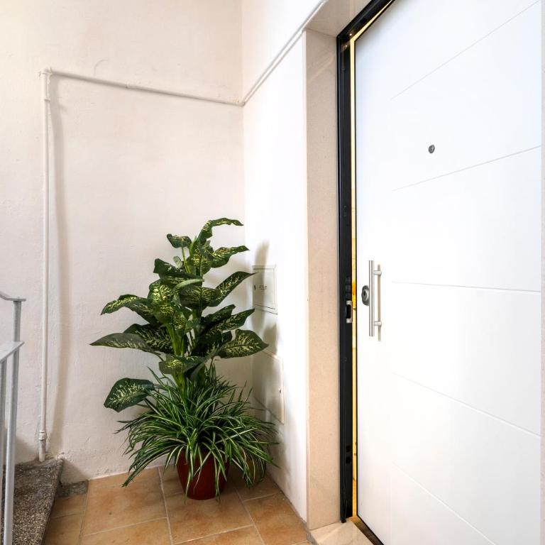 Dolci Coccole Small Suite a Bari città! - Appartamento con 1 Camera da Letto - 43