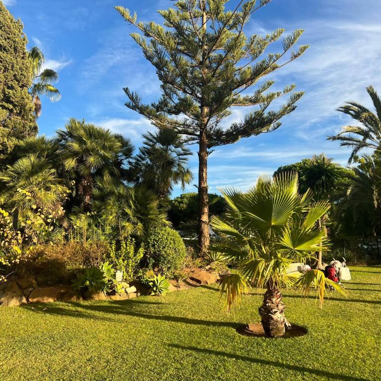 Moderno estudio y piscina a 50 metros de la playa - Apartamento de 1 dormitorio - 20
