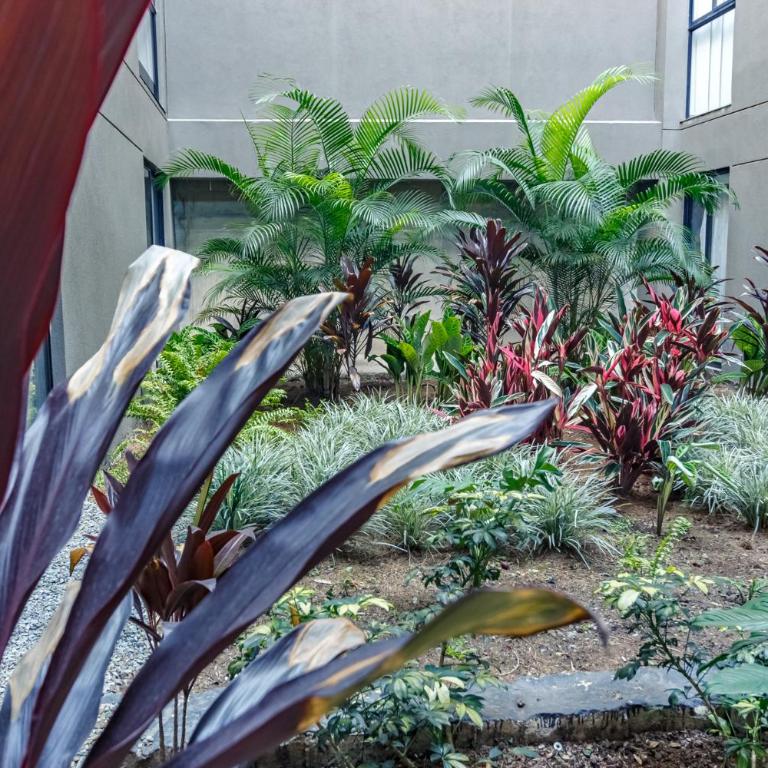 Moderno loft en el centro de MDE - One-Bedroom Apartment - 12