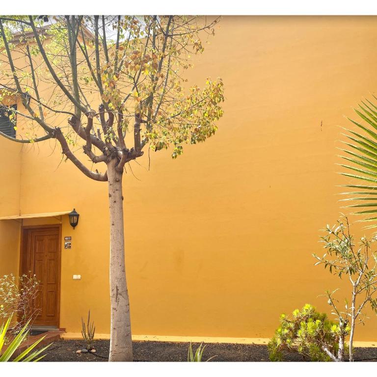 Tamarindo Pura Vida - Relax y Vistas al Mar - Apartamento con vistas al mar - 32