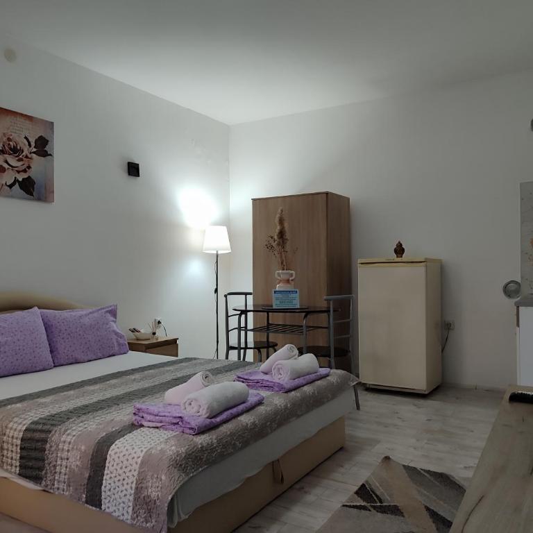 Relax Apartmani - blizu Neuromedic Niš - Studio Apartman - 2