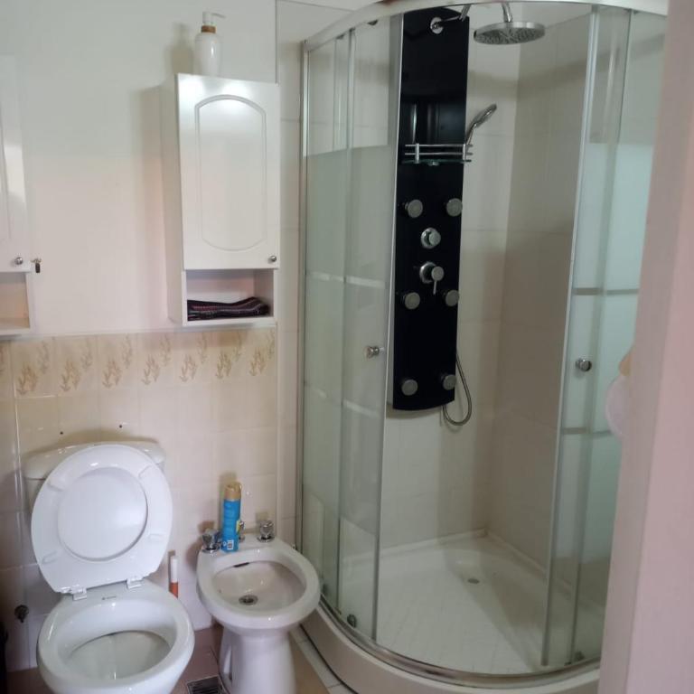 Cálido Departamento Céntrico San Martín de los andes - Apartamento de 1 dormitorio - 4