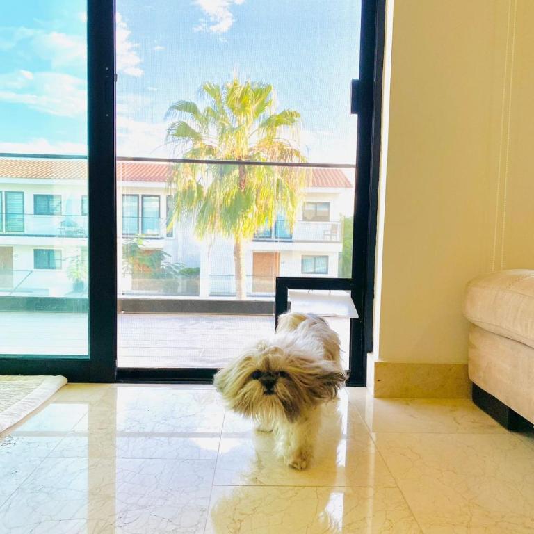Espectacular Departamento en Club de Golf El Tigre - Apartment - 8