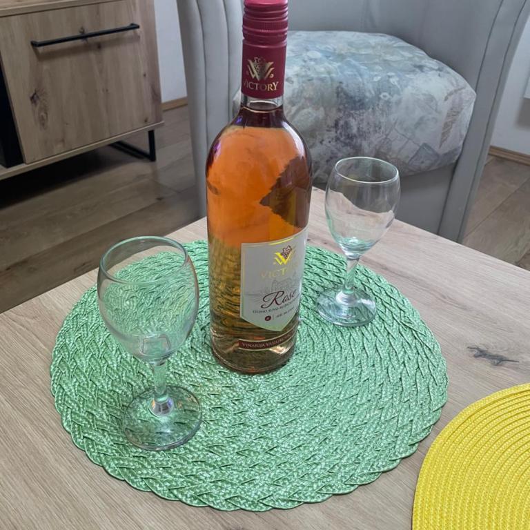 Konstantin Sokobanja - Apartman sa 1 Spavaćom Sobom - 8