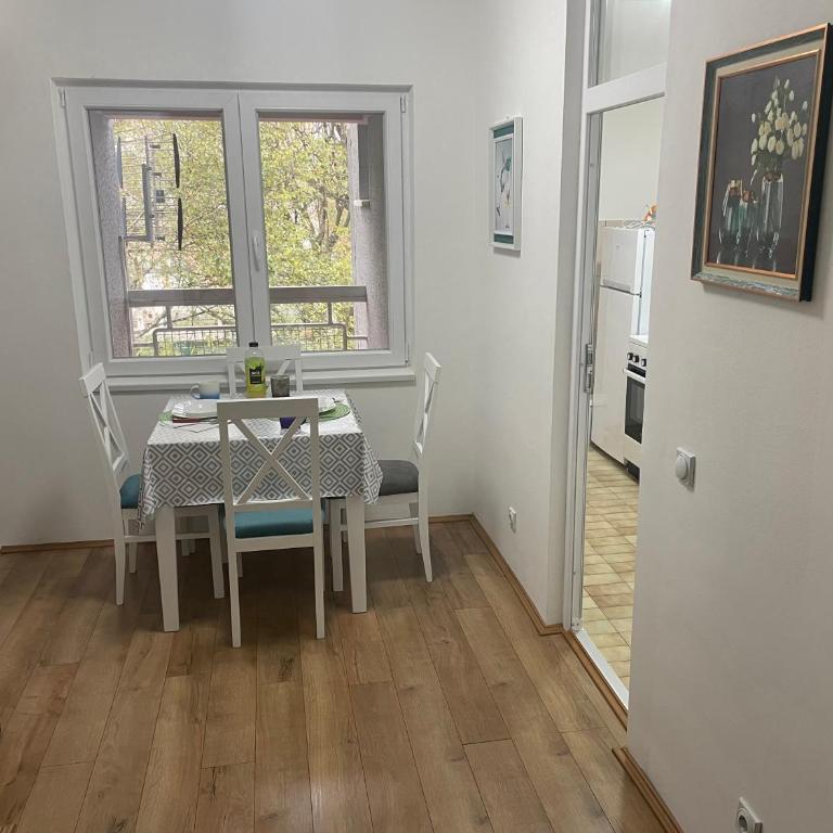 Konstantin Sokobanja - Apartman sa 1 Spavaćom Sobom - 9
